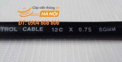 Cáp điều khiển SangJin 12C x 0.75 SQmm