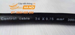 Cáp điều khiển SangJin 24C x 0.75 SQmm