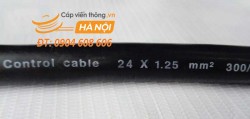 Cáp điều khiển SangJin 24C x 1.25 SQmm