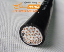 Cáp điều khiển SangJin 30C x 1.25 SQmm