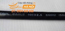 Cáp điều khiển SangJin 10C x 2.5 SQmm