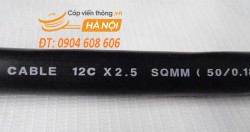 Cáp điều khiển SangJin 12C x 2.5 SQmm