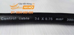 Cáp điều khiển có lưới chống nhiễu SangJin 24C x 0.75 SQmm