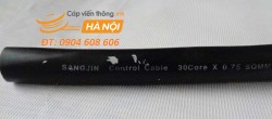 Cáp điều khiển có lưới chống nhiễu SangJin 30C x 0.75 SQmm