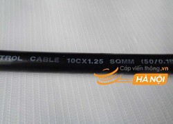 Cáp điều khiển có lưới SangJin 10C x 1.25 SQmm