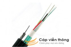 Cáp quang treo F8-M3 Viettel – 72Fo Singlemode