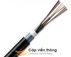 Cáp quang cống chôn trực tiếp M3 Singlemode 48Fo
