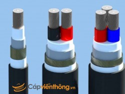 Cáp chậm cháy Cadivi CVV/AWA(SWA)/FRT - 0,6/1 kV