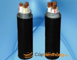 Cáp chậm cháy Cadivi CXV/DATA(DSTA)/FRT - 0,6/1kV