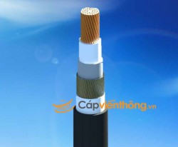 Cáp chậm cháy Cadivi CXV/AWA(SWA)/FRT - 0,6/1 kV