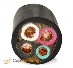 Cáp cao su ruột đồng Samwon 10 x 1,25 SQmm