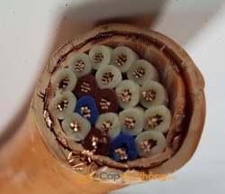 Cáp chống cháy 19 lõi Nexans