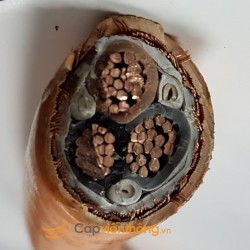 Cáp chống cháy 3 lõi Nexans