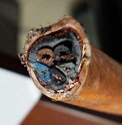 Cáp chống cháy 5 lõi Nexans