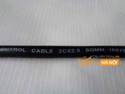 Cáp điều khiển có lưới chống nhiễu 2Cx2,5 SQmm - SangJin