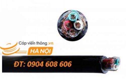 Cáp điều khiển có lưới chống nhiễu 4Cx4 SQmm - SangJin
