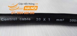 Cáp điều khiển có lưới chống nhiễu 20Cx1 SQmm - SangJin