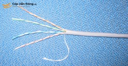 Cáp mạng TENDA 1002D CAT5 thùng cuộn 300m