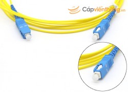 Dây nhảy quang SC / APC - SC / APC Singlemode Simplex