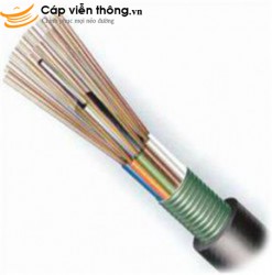 Cáp quang chôn trực tiếp Single mode 16FO